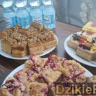 zdjęcie nr 15