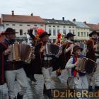 zdjęcie nr 182