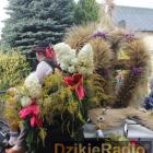 zdjęcie nr 256