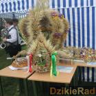 zdjęcie nr 303