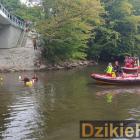 zdjęcie nr 220