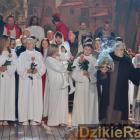 zdjęcie nr 377