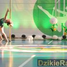 zdjęcie nr 131