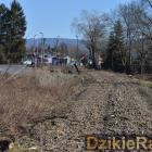 Fotka nr 3 z 15