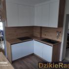 Fotka nr 4 z 7
