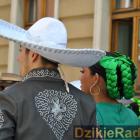 zdjęcie nr 98
