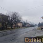 Fot. Dzikieradio.pl