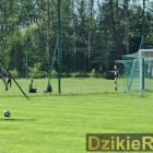 zdjęcie nr 43
