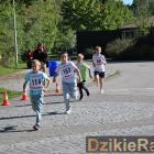 zdjęcie nr 41