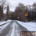 zdjęcie nr 7