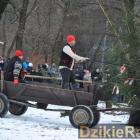 zdjęcie nr 68