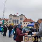 zdjęcie nr 135