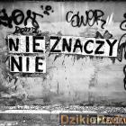 Fot. Plakaciary 