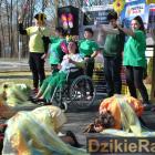 zdjęcie nr 122