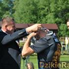 zdjęcie nr 107