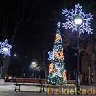 zdjęcie nr 176