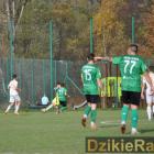 zdjęcie nr 79