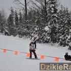 zdjęcie nr 8