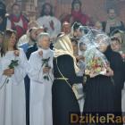 zdjęcie nr 375