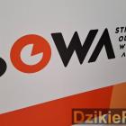 Fotka nr 2 z 23