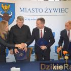 zdjęcie nr 11
