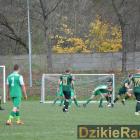 zdjęcie nr 11