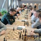 zdjęcie nr 17