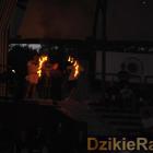 zdjęcie nr 140