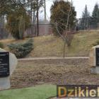 zdjęcie nr 43