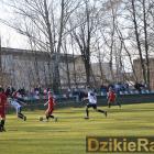 zdjęcie nr 31