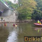 zdjęcie nr 225