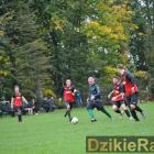 zdjęcie nr 74