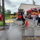 zdjęcie nr 10