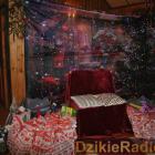 Fot. Dzikieradio