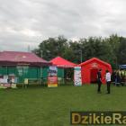 zdjęcie nr 46
