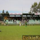 zdjęcie nr 15