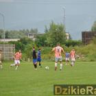 zdjęcie nr 81