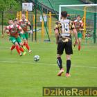zdjęcie nr 149
