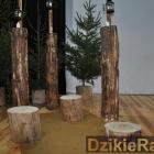 zdjęcie nr 101