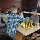 zdjęcie nr 36