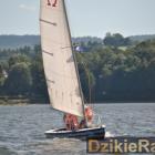 zdjęcie nr 217
