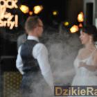 zdjęcie nr 33