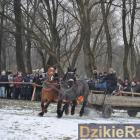zdjęcie nr 112
