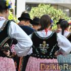 zdjęcie nr 17