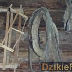 zdjęcie nr 30