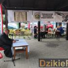 zdjęcie nr 16