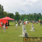 zdjęcie nr 172