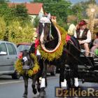 zdjęcie nr 41