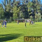 Fotka nr 3 z 41