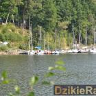 zdjęcie nr 55